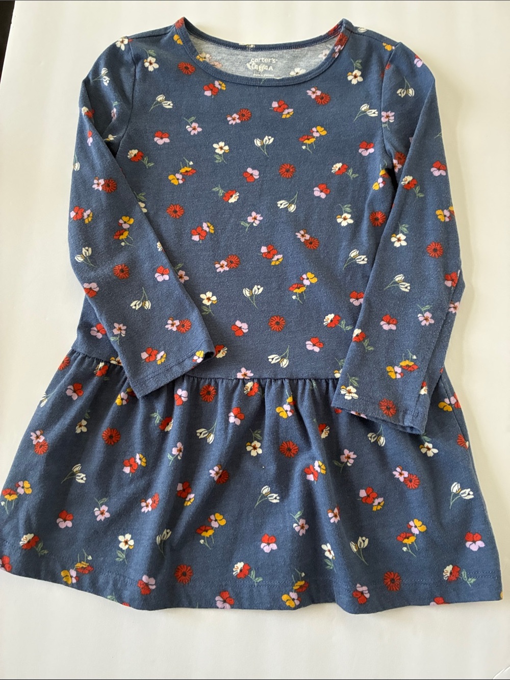Carter's Girls' Blue Floral Print LS Drop Waist Dress-4T